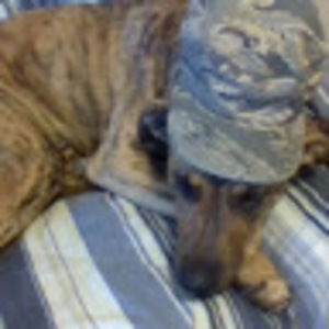 Meet your Posher, Alana